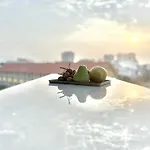 Bao Aurora Oasis Hotel